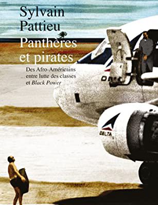 Panthères et pirates / Sylvain Pattieu