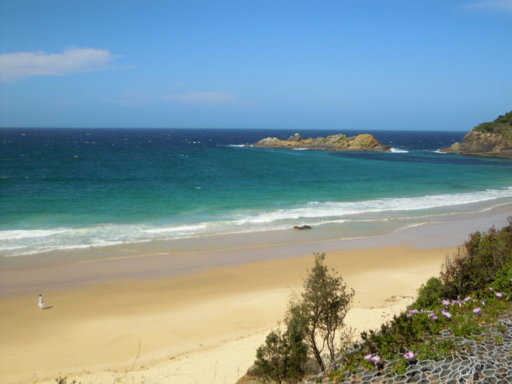 Album - VM. AUSTRALIE - Seal Rocks