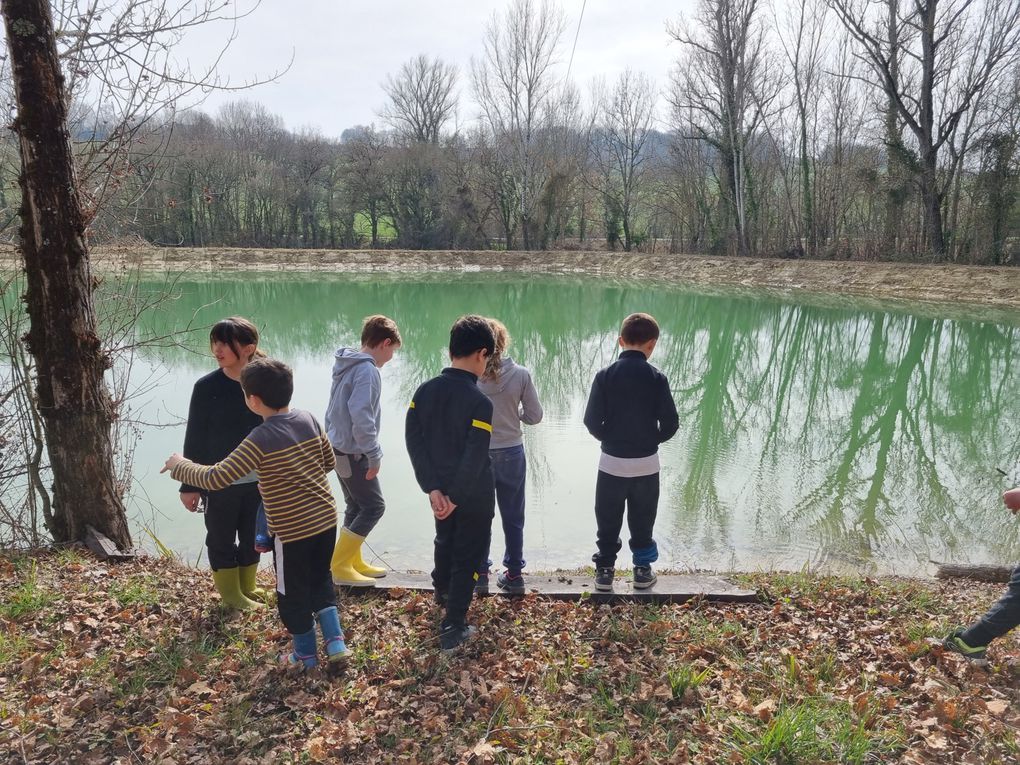 Les apprentis des vignes 