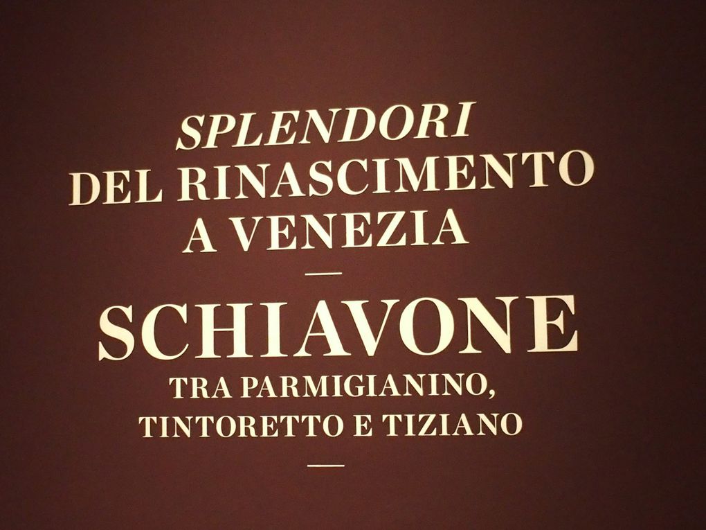 Schiavone chi ? Venise soulève le voile sur Andrea Meldola dit Schiavone entre Parmigianino, Tintoret et Titien. Splendeurs de la Renaissance à Venise