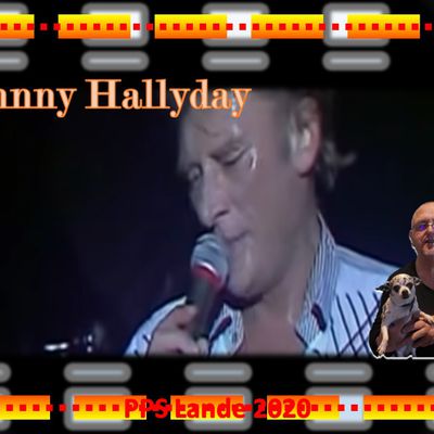 Chavirer les foules 2007 Johnny Hallyday par Lande.