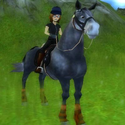 Mes chevaux sur Star Stable : 