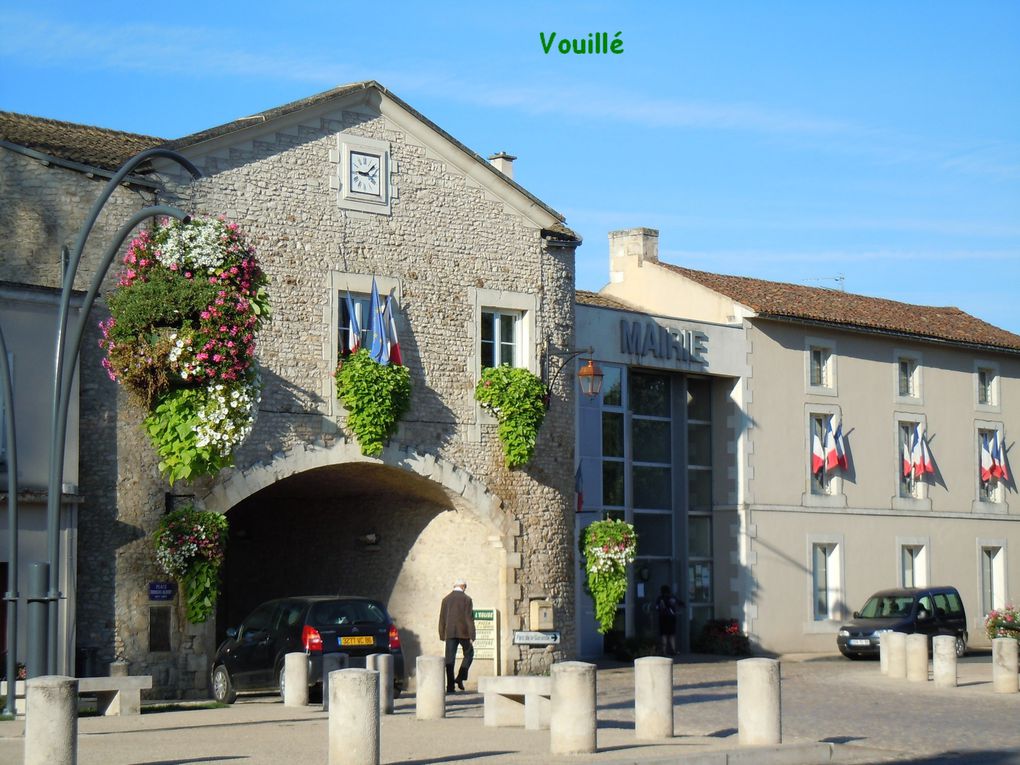 Les photos du canton de Vouillé !