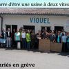 Les salariés de Viquel en grève