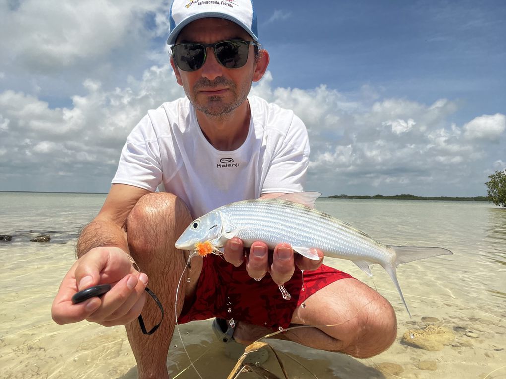 Du chevesne au Baracuda, en passant par les bonefish, les perches, les truites, les ombres et les bars, tous ces poissons se sont laissés prendre au streamer !