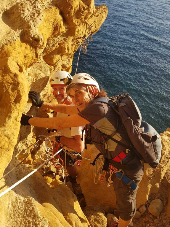 Arrivée sur le palmier et installation du rappel