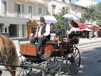 Cavaillon, la féria du melon  (1/2)