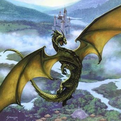 L'environnement des dragons