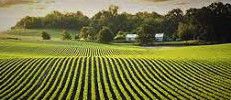 #Cranberry Wine Producers Minnesota Vineyards