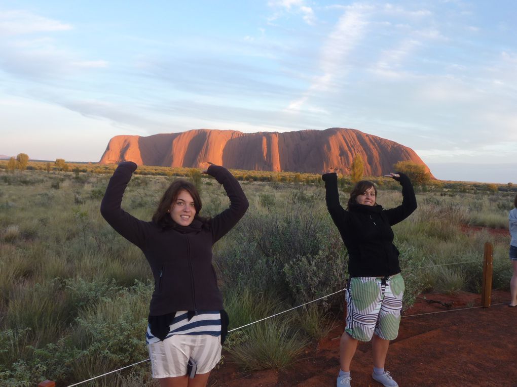 Album - Roadtrip-zum-ULURU-via-Great-Ocean-Road