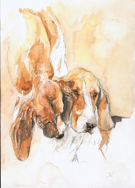 Lavis, aquarelles pastels et crayon aquarellable de chiens de meute