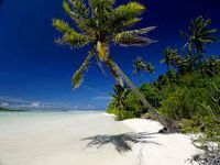 Des îles et des palmiers; le rêve , les yeux grands ouverts, quoi