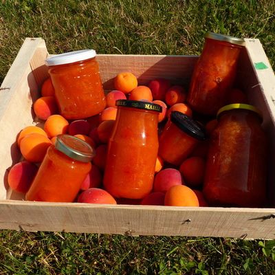 Confiture d'abricots