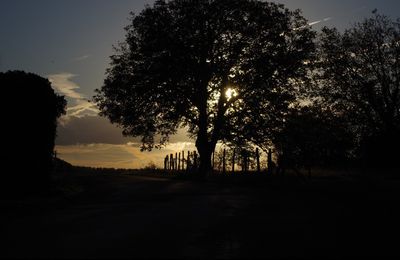 Couché de soleil sur la campagne 