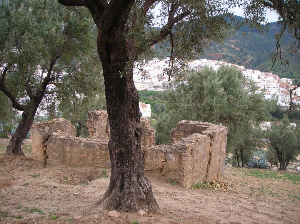 la ville de moulay idriss zerhoun une histoire d un apys d une société d une culture