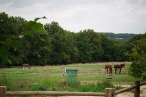 pré ... poulains