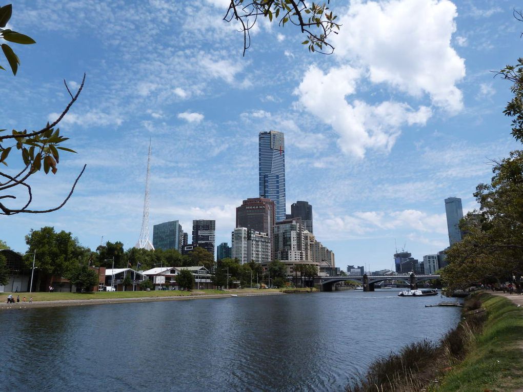 Melbourne - Sydney