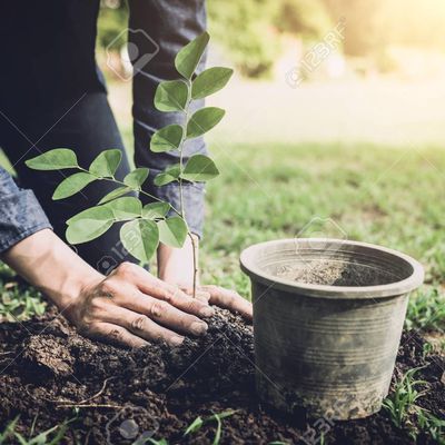 Prenons soin de notre planète, une seule nous abrite