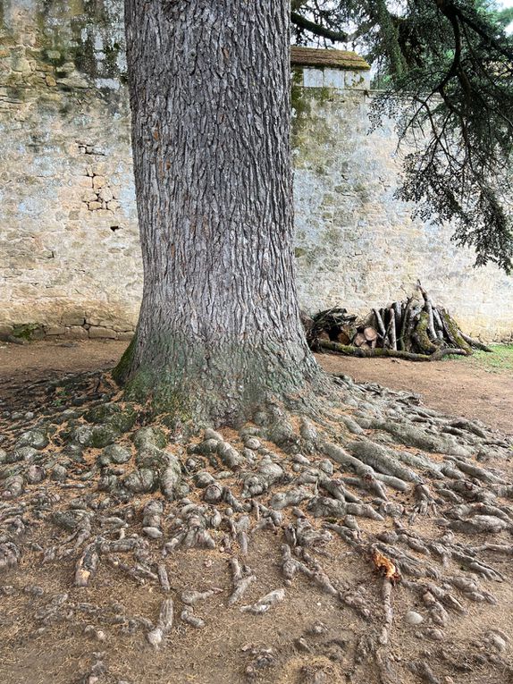 GALERIE SÉJOUR DORDOGNE