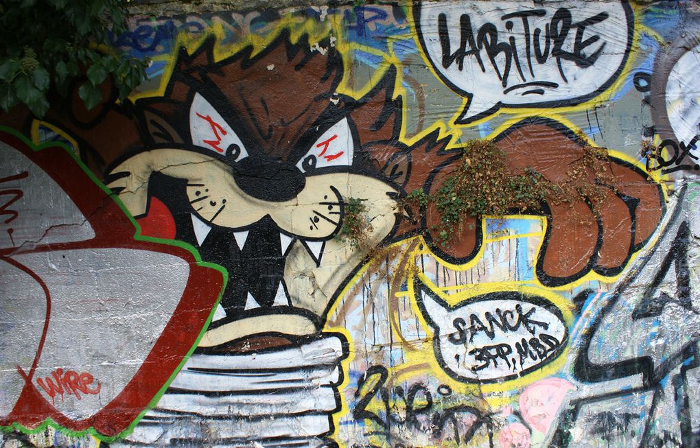 Album - Graffitis-Dept-93-Tom-002