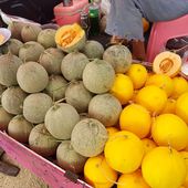Melons de Suphanburi - Fruits de saison (23-12) - Noy et Gilbert en Thaïlande