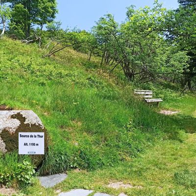 COL DE BRAMONT : LA SOURCE DE LA THUR (R 794) ~ 9,3 km ~ D+ 407 m ~ 3 h ~ 2,5/6 ~ *** ~ Non compatible VTT-VTTAE