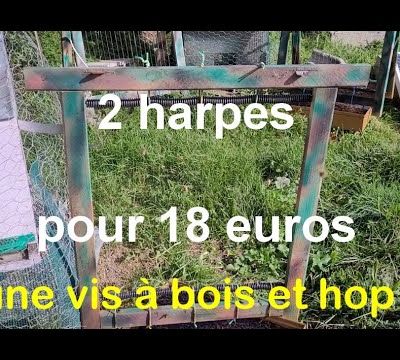 2 harpes anti frelons pour 18 euros ! 9 euros la harpe.