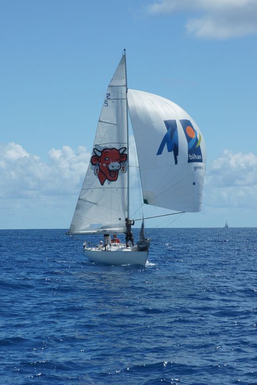 Album - Trophee-Open-Voile-de-St-Francois-2011-3