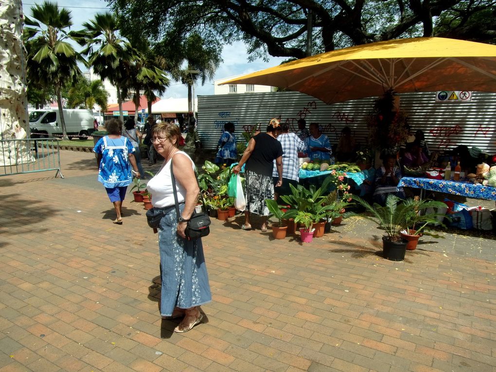 Saga Néo-Calédonienne........ Derniers jours sur le ''caillou'' : Le parc des grandes Fougères, puis Nouméa .....puis encore Nouméa 