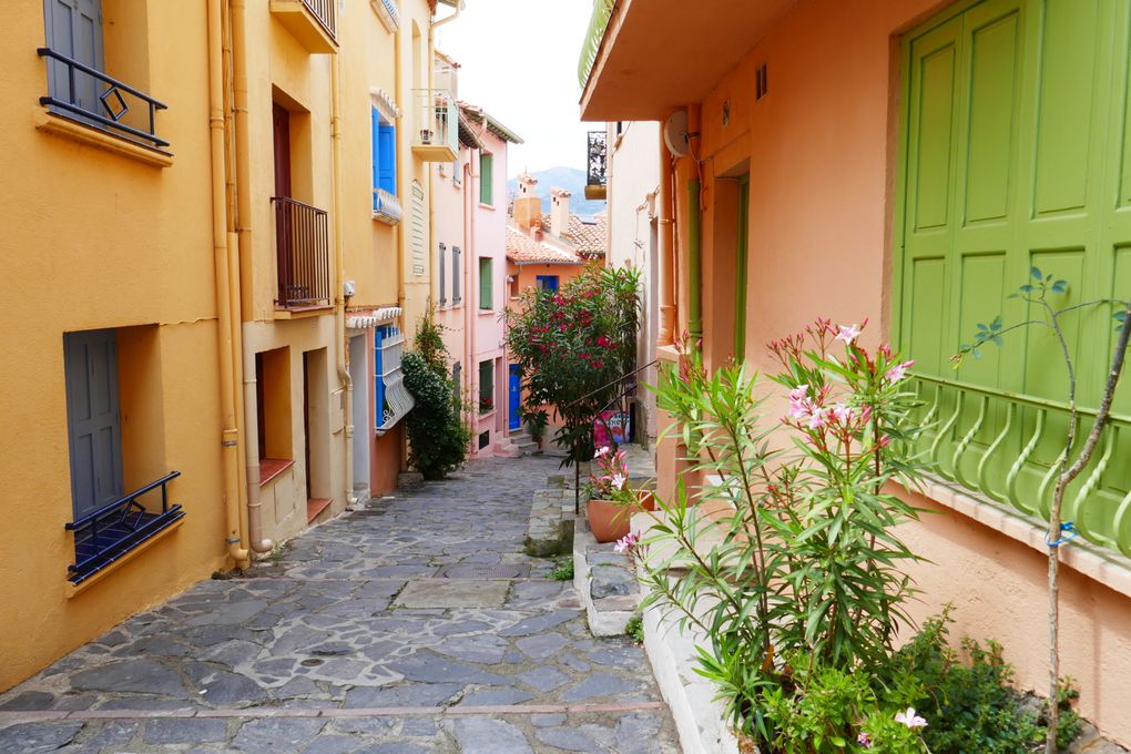 Les ruelles de Collioure au printemps.