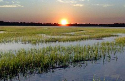 Do you know the best time to visit Hilton Head?