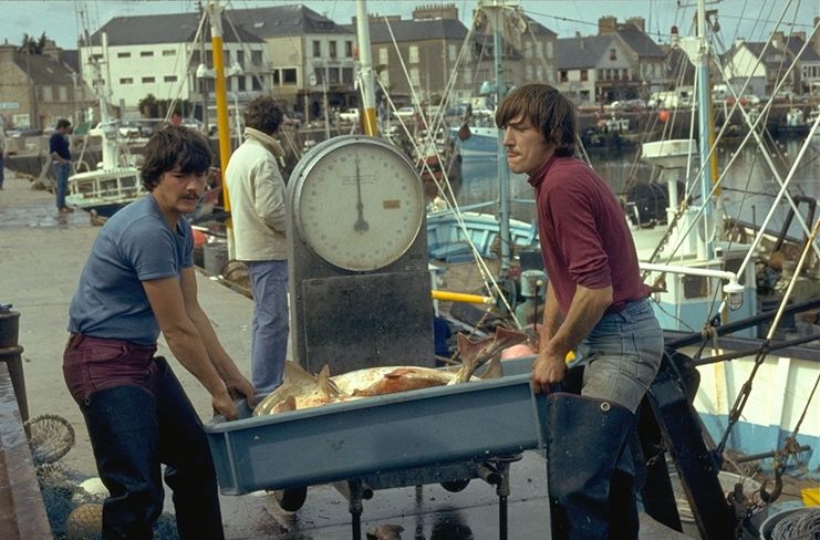 Des images liées à la pêche.