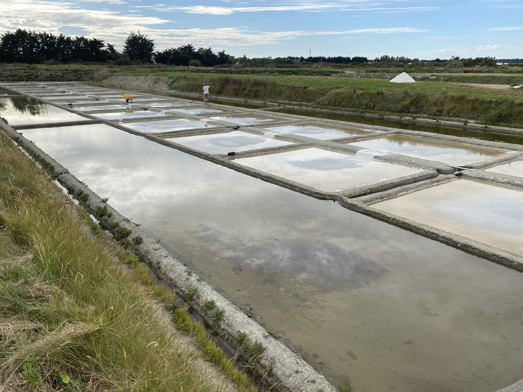 L'eau de mer effectue un parcours précis sur un sol argileux