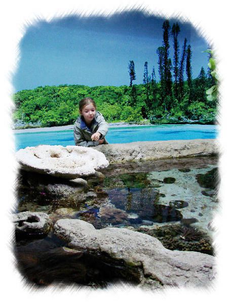 Voici une série d'images réalisées dans l'enceinte de "l'aquarium des lagons" à Nouméa. Loin d'être complète, cette galerie se veut un aperçu de ce que l'on peut y dévouvrir...