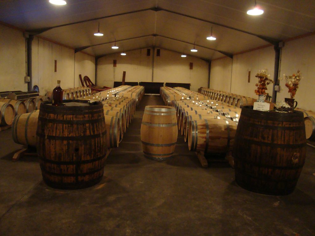 Découverte commentée de Sainte Croix du Mont et du panorama sur le Sauternais et la vallée de la Garonne. Visite de la cave et dégustation des vins de Nicolas Solane.