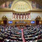 Le Sénat se prononce en faveur de la constitutionnalisation de l'IVG
