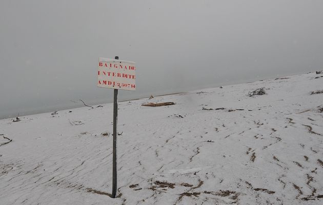 Les Zones Humides sous une fine pellicule de neige
