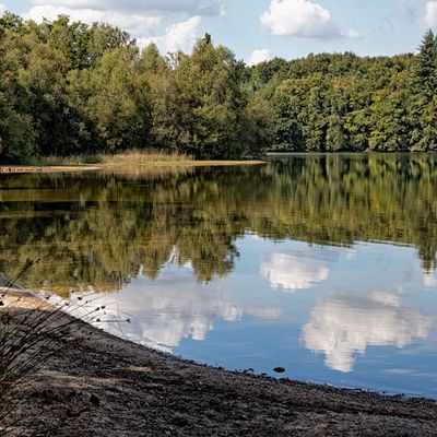 Lac de Saint-Pardoux