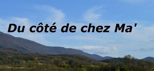 Du Cote De Chez Ma Flou Les Pensees De Meme Yoyo