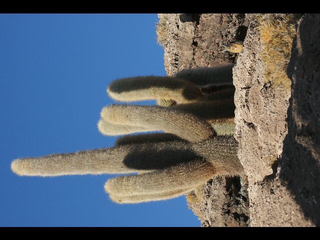 Album - TRIP-4-4-TUPIZA-UYUNI-2