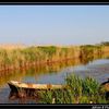 Camargue - Julien-B-Pictures