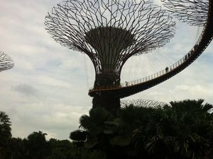 Singapour, mercredi 20 juillet