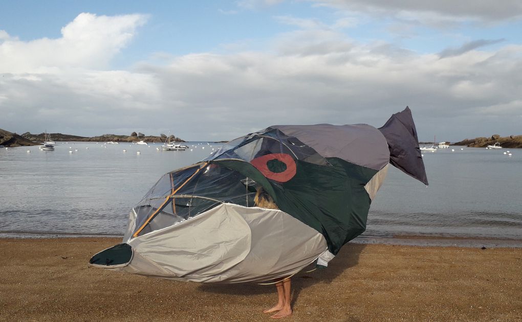 2019, Le Poisson ballon bâtisseur