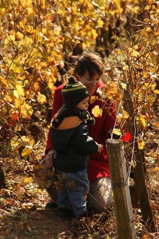 Je vous laisse découvrir nos premières vacances en Bourgogne. Un vrai moment de bonheur pour notre arrière grand mamie qui a bien profité de moi et de ma petite soeur.