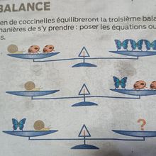 La réponse à la petite énigme de janvier 2024 - dans la nature...