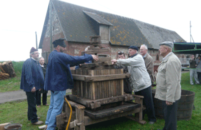 Brassage des Pommes et Dégustation