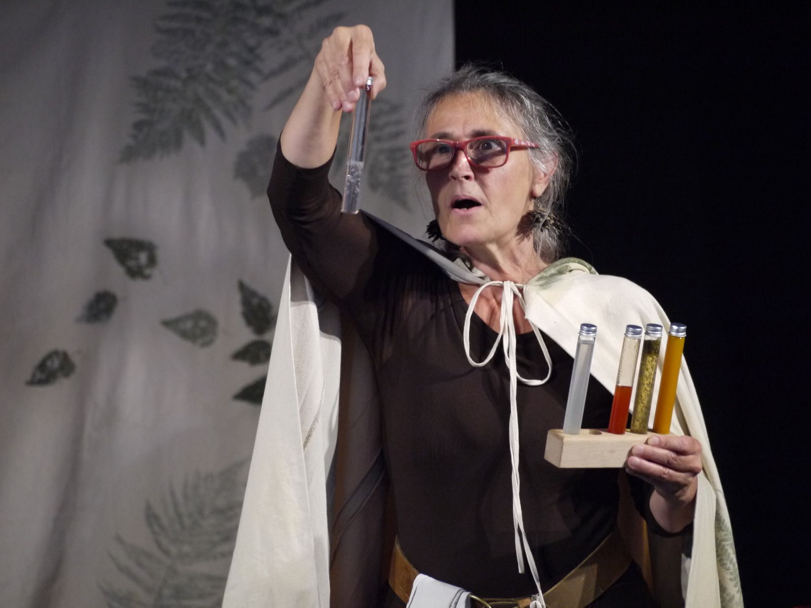 spectacle tout public sorcière et plantes sauvages