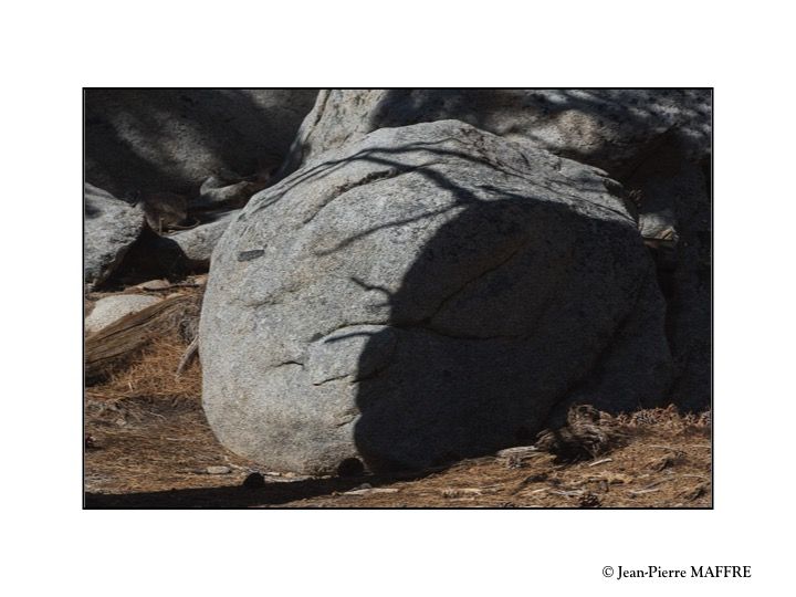 Situé à plus de 3000 mètres, le Mont Jacinto se découvre en prenant un téléphérique. Un réseau de sentiers sur une boucle de 8 kilomètres sillonne des pinèdes et des dunes.