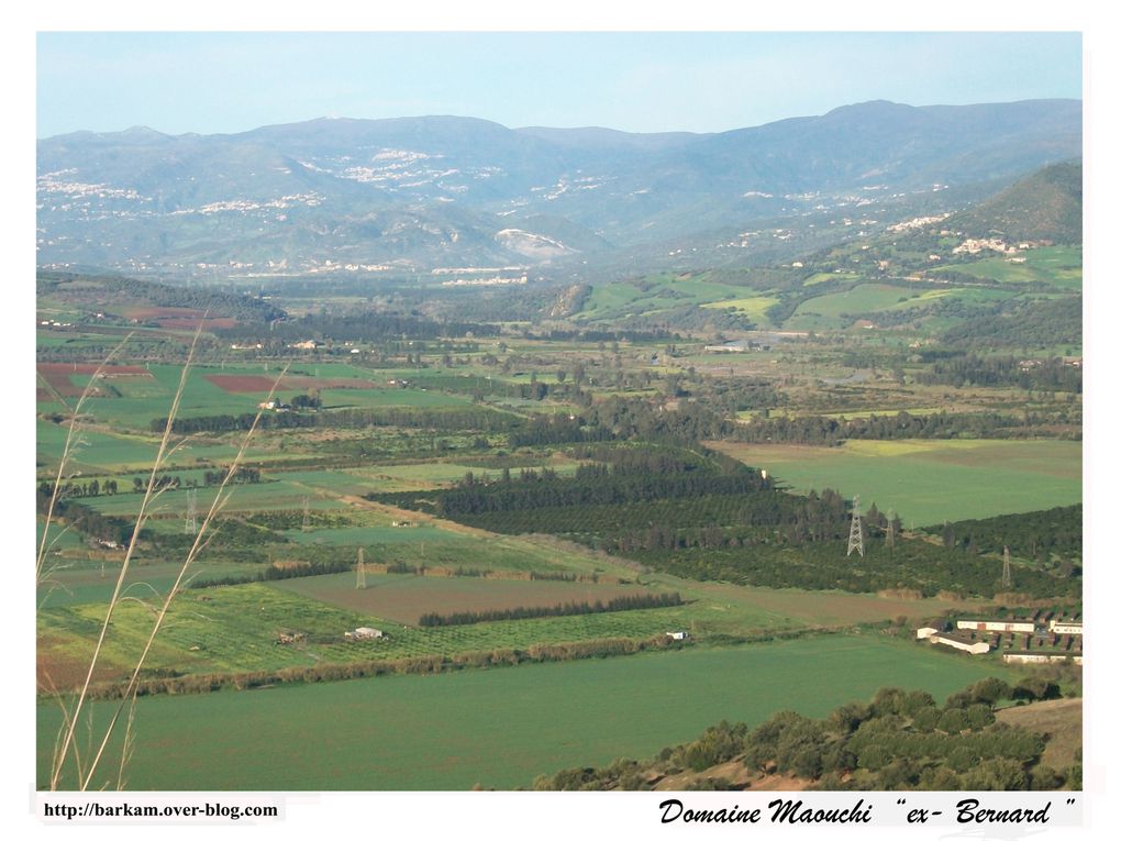 Pour la première fois dans l'histoire de belles cartes postales représentants ma ville natale Amizour (ex-Colmar), que j'ai prise a partir des hauteurs de la ville, montagne (BOUGRIT), IGHIL Iâlouanene et BOUKHALFA... surplombant la belle & rebell