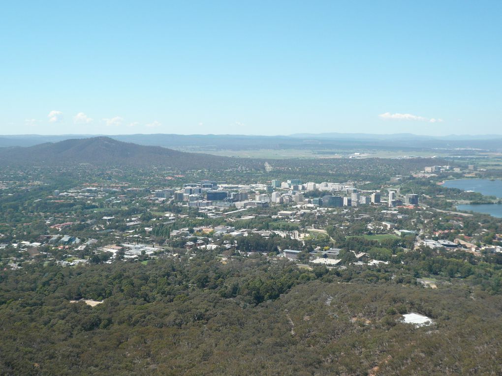 Album - Canberra